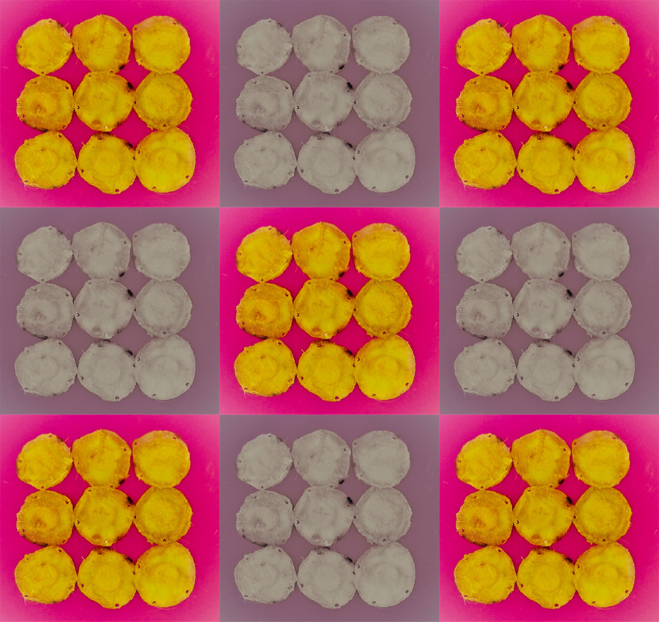 Fluorescein Fields Forever (c) Juan Mena and Veronica Montgomery