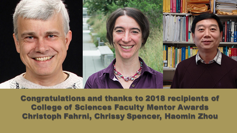 2018 Outstanding Faculty Mentors