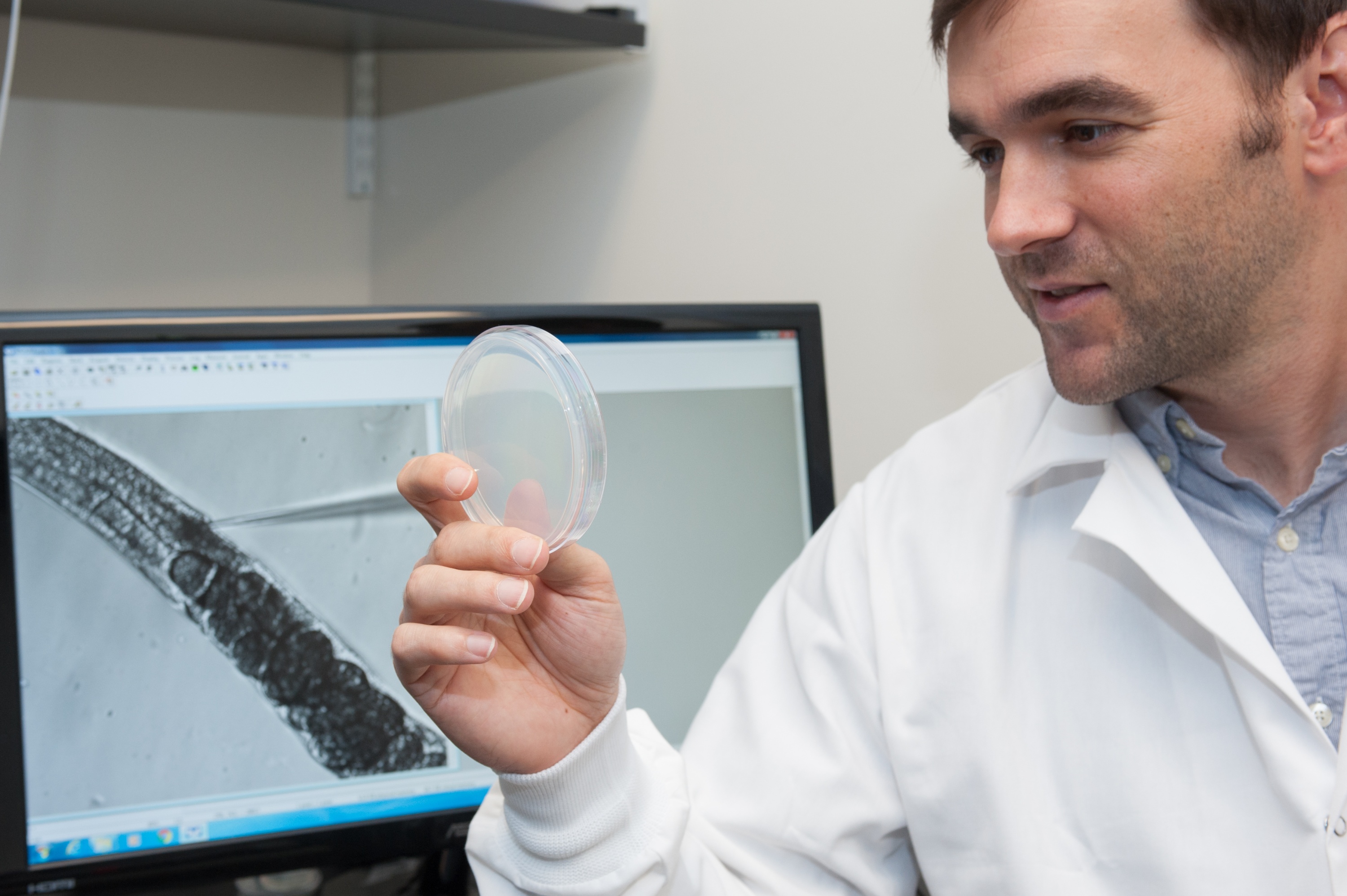 Patrick McGrath portrait