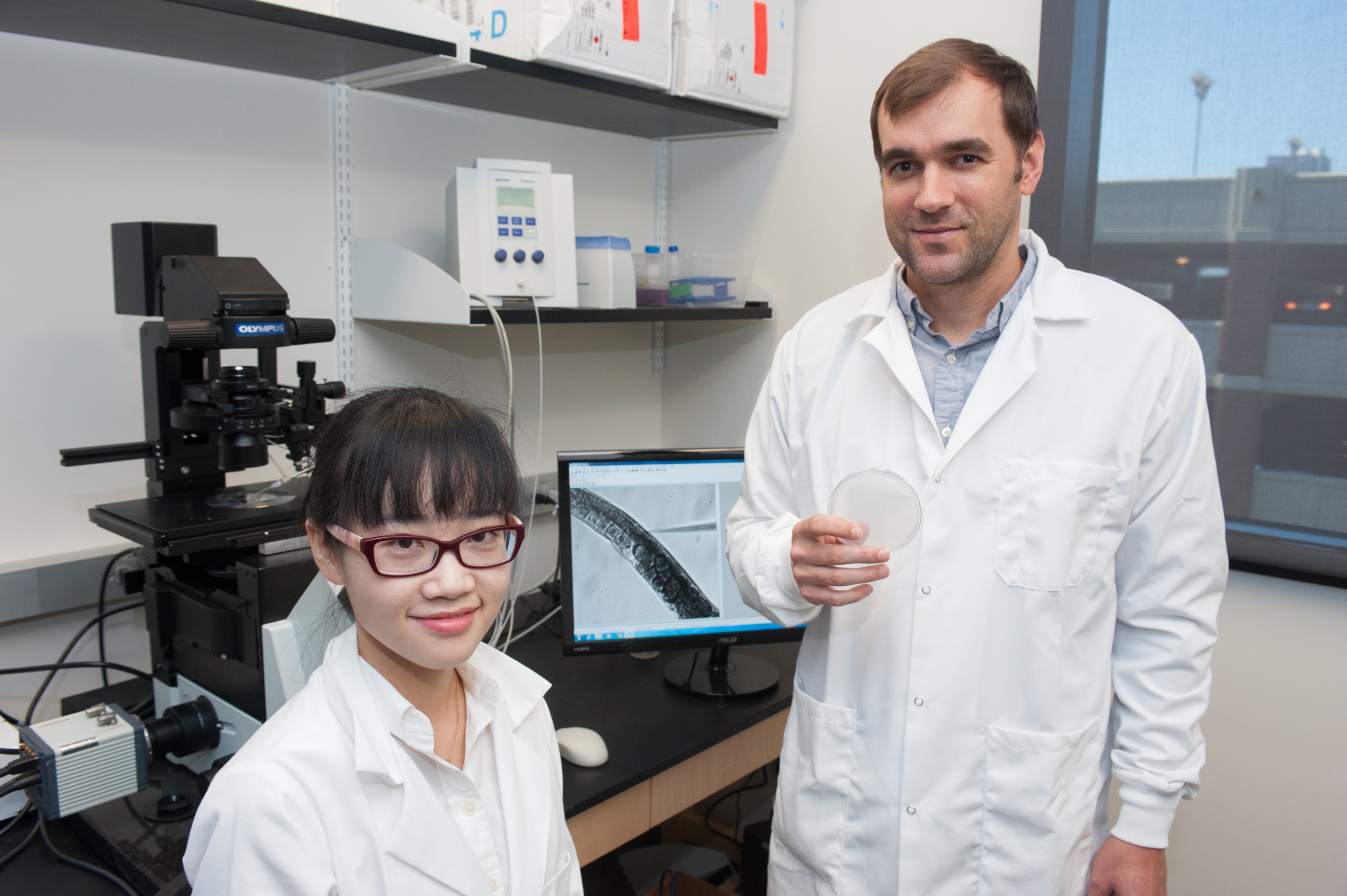 Patrick McGrath Wen Xu C. elegans LSJ2